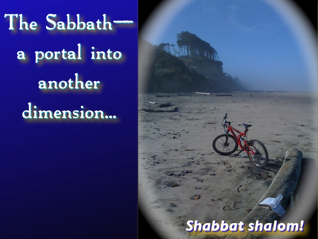 Shabbat Portal