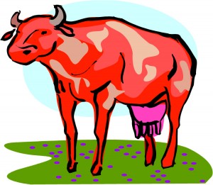 Red Cow 1-20010795-1