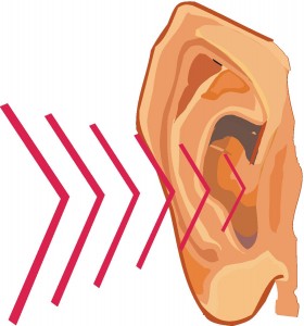Hearing Ear 15090964