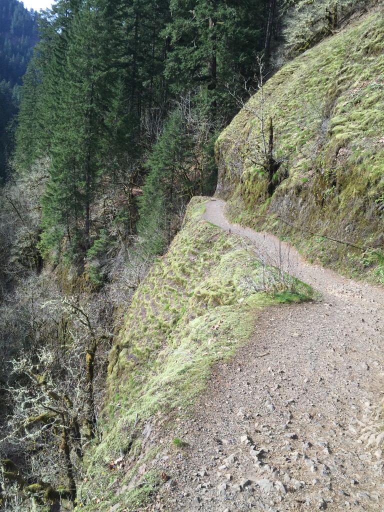 The trail up Eagle Creek leading to Punch Bowl Falls