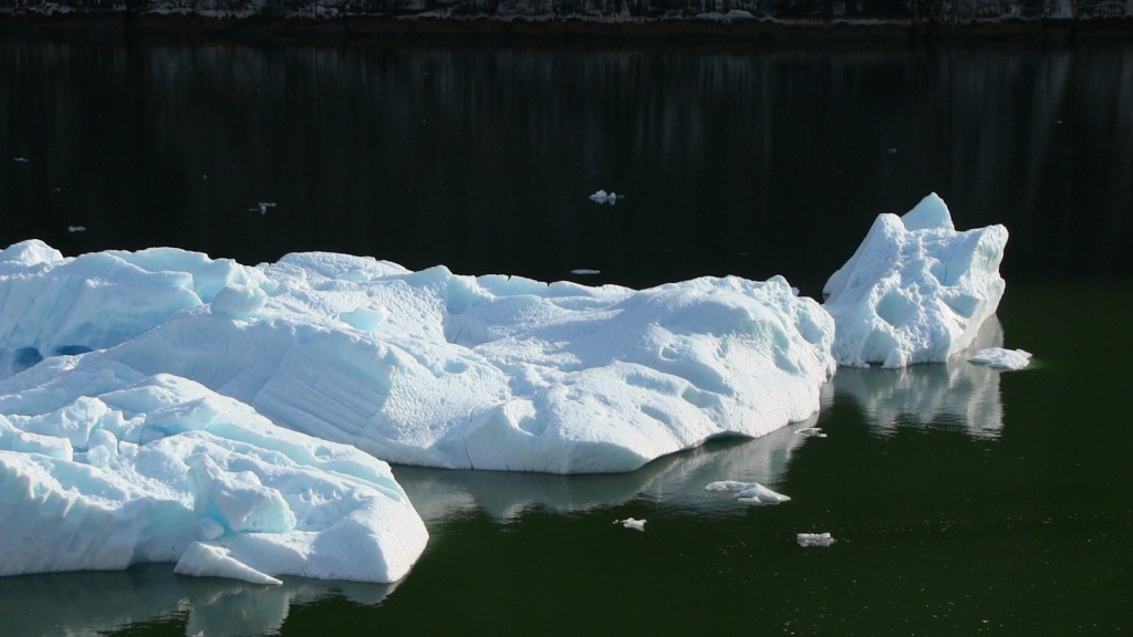Ice bergs floating in Tracey Arm Fjord