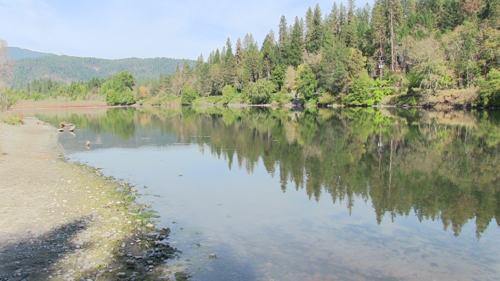 The Rogue River at Griffen Park — view from the campground.