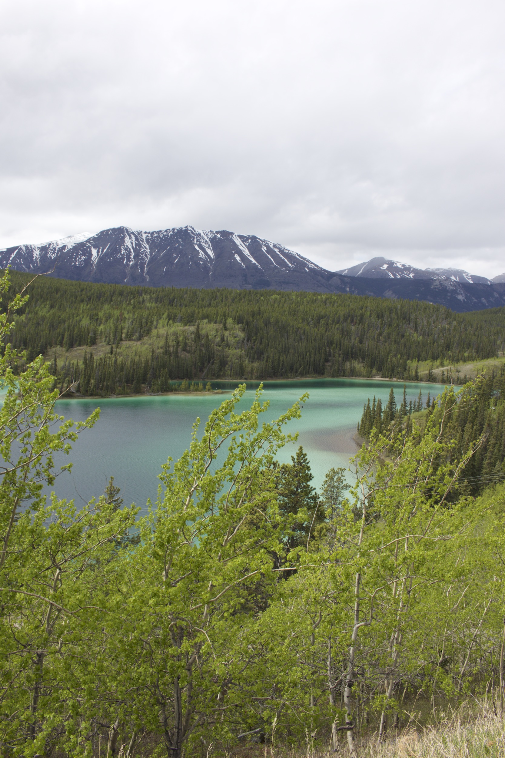 This is Emerald Lake in the Yukon Territory, which is world famous for its green color. It's just past Carcross (short for Caribou Crossing) en route to White Horse.