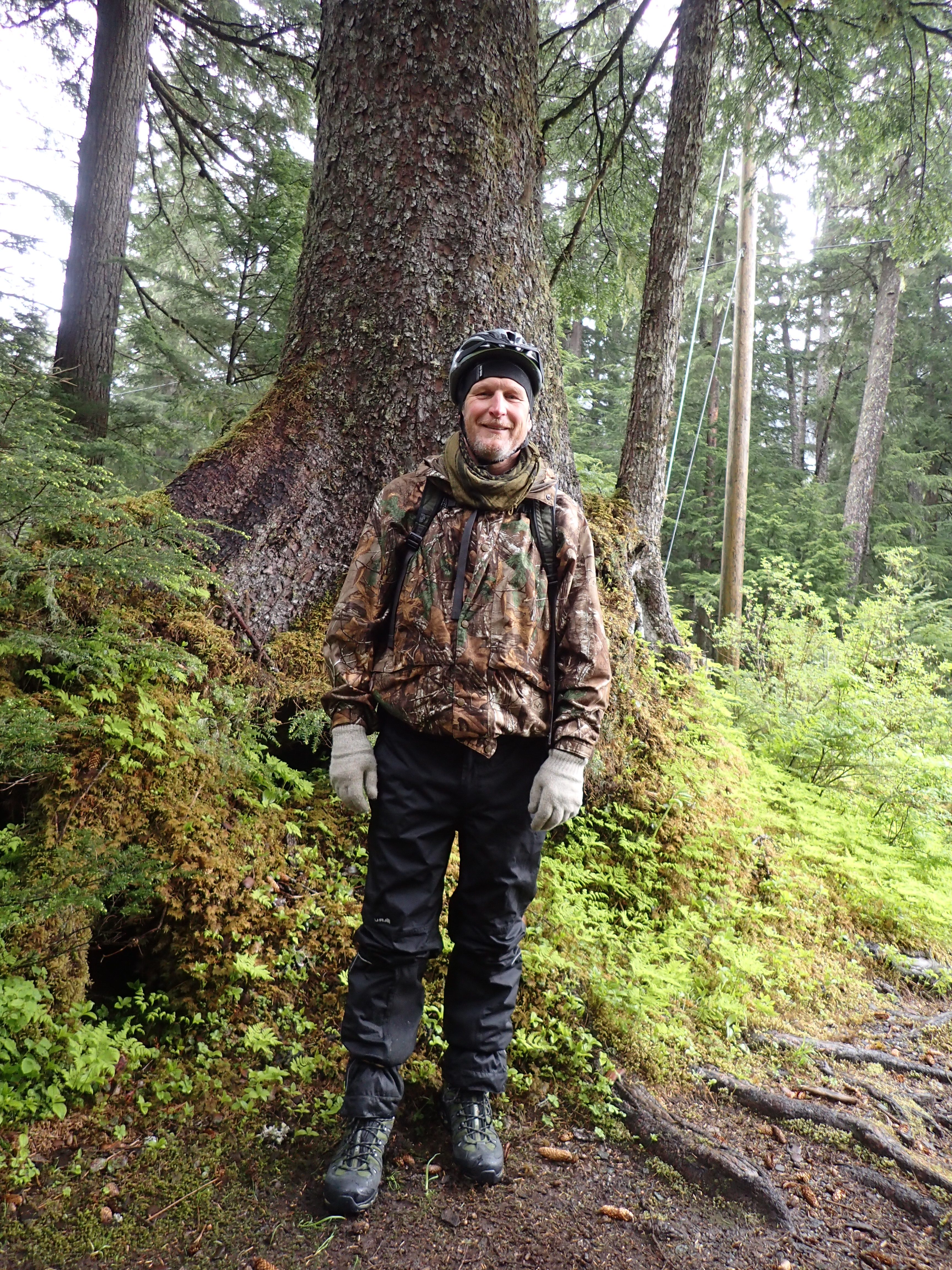 I encountered this giant sitka spruce on our bike ride in Juneau. I'm a tree guy, and I love trees. What can I say?