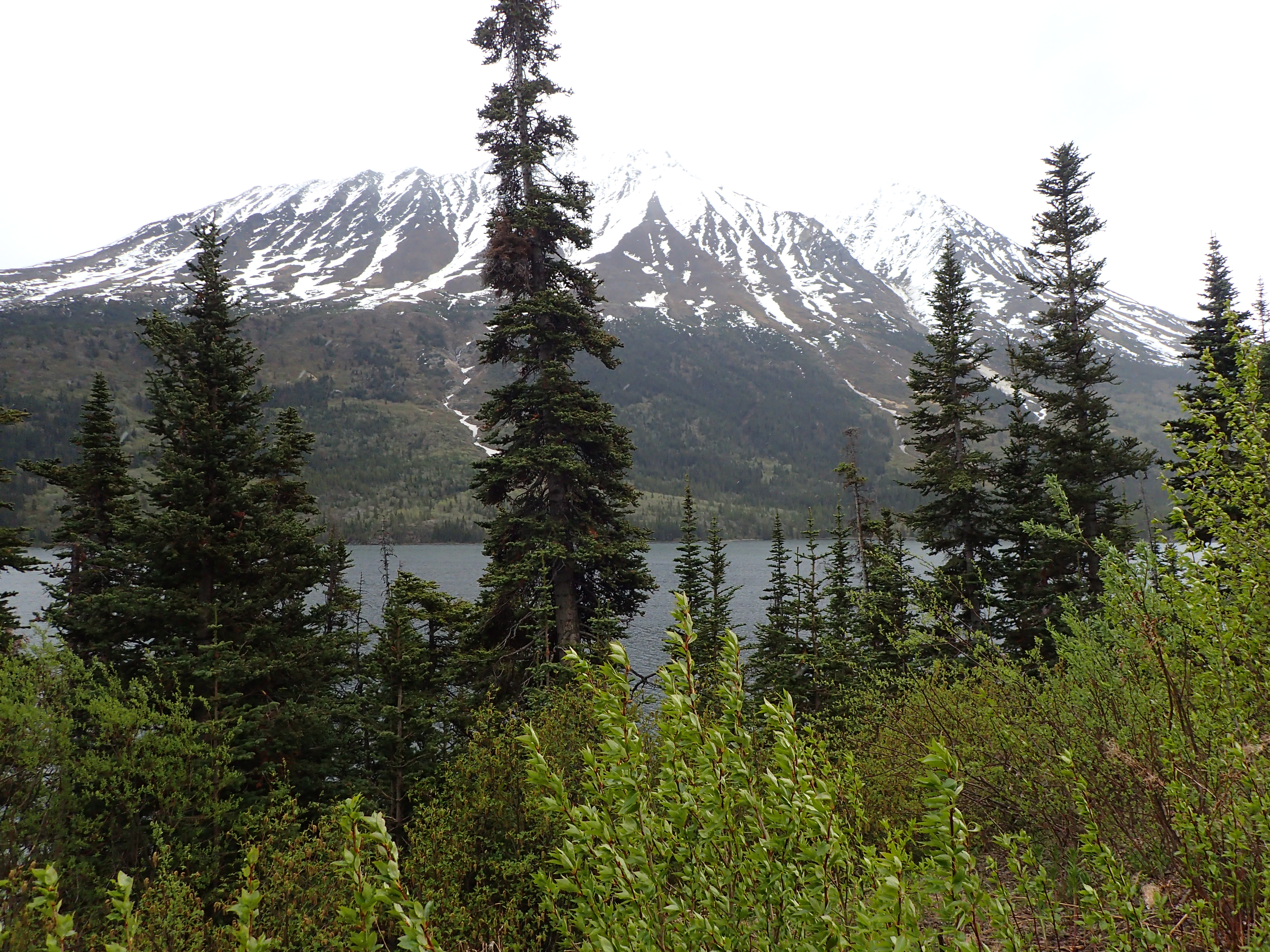 The rugged mountainous of Canada's Yukon Territory.
