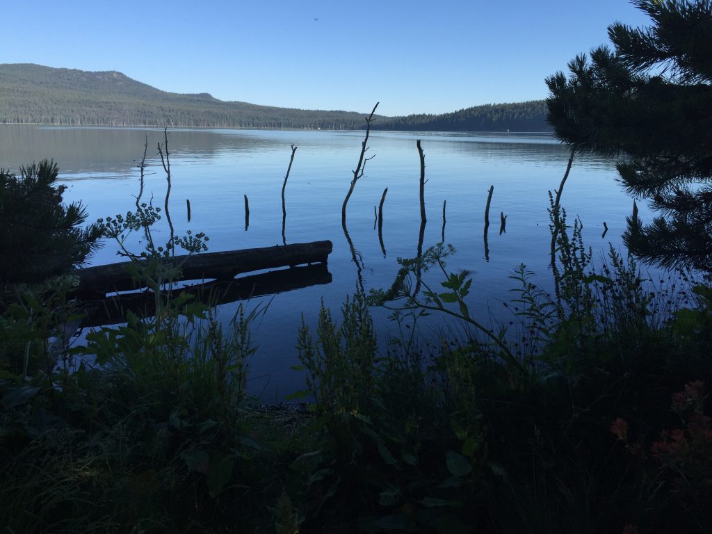 Diamond Lake early in the morning.