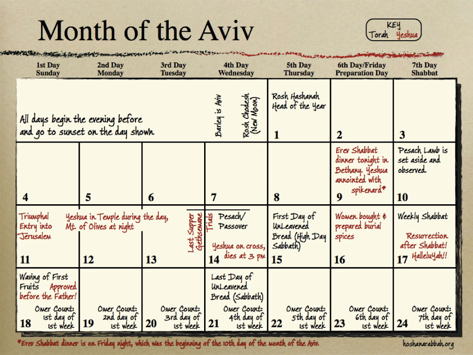 Passover Week Timeline Calendar