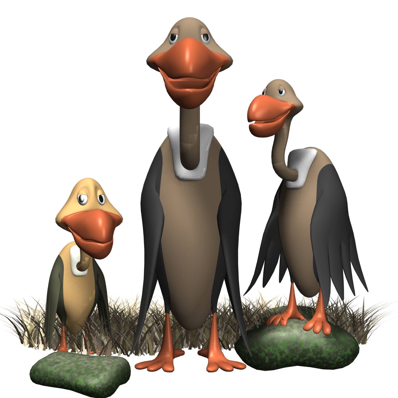 3d анимации птицы