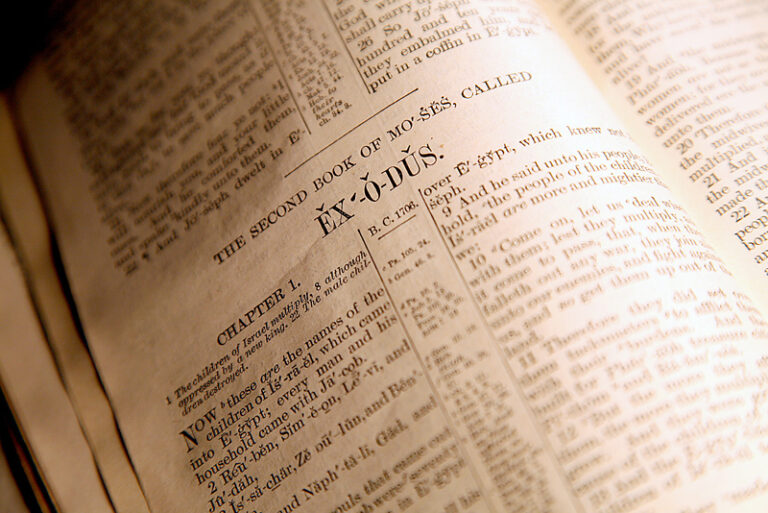 Exodus Rabbah Welcome to the Book of Exodus! | Hoshana Rabbah BlogHoshana Rabbah Blog