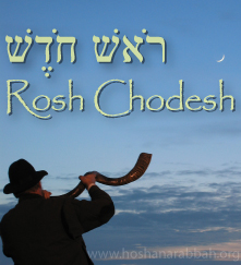 New Moon Sighting for the monthly rosh chodesh